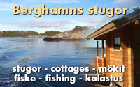 Cottages, sport fishing in Berghamn