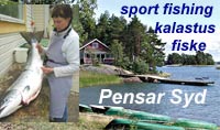 vacation in the wilderness nature of the Archipelago sea