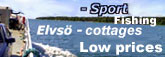 Vacation - free time - sport fishing - Cottages in the island of Elvsö - Low prices
