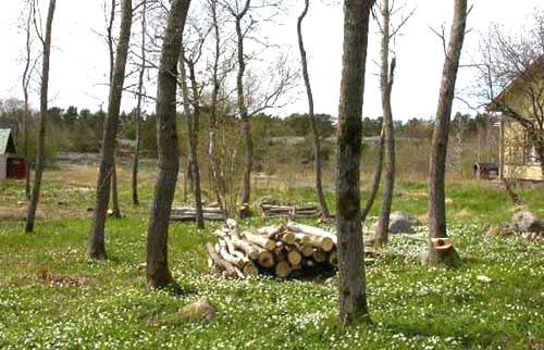 Biosphere Reserve - Berghamn