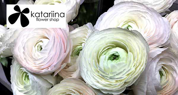 Kaarina - Katariina Flower Shop