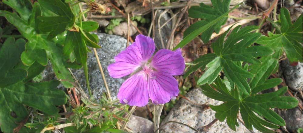 Biosphere Reserve 