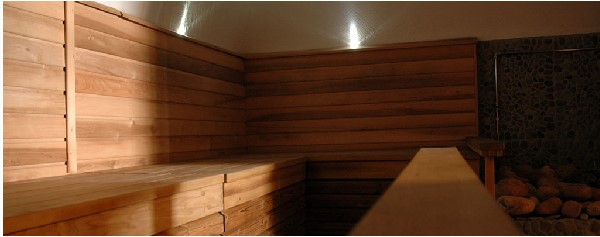 Spa hot sauna