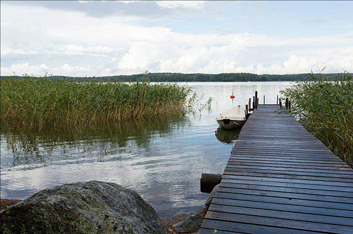 Merirantala Merikotka